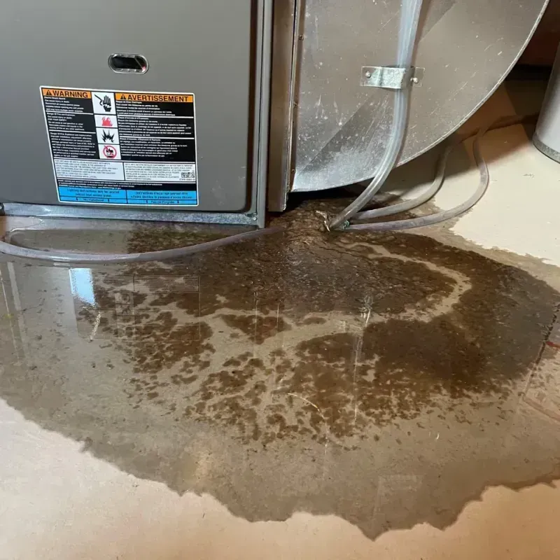 Appliance Leak Cleanup in Verona, MS